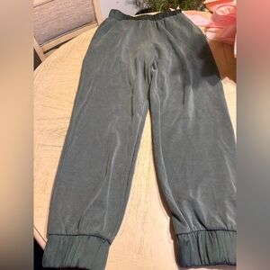 Express Green Velvet Jogger Pants